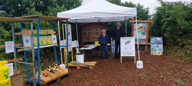 Eine Frau und ein Mann stehen lächelnd an einem Informationsstand im Freien unter einem weißen Pavillon. Links ist ein großes Insektenhotel zu sehen, davor ein Tisch mit Honiggläsern. Rechts steht ein Aufsteller zur Asiatischen Hornisse und eine Informationstafel zu Wildbienen.