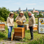 Drei Imker in Schutzkleidung begutachten eine Bienenwabe an einem Bienenstock im Freien, im Hintergrund die Silhouette von Herford.