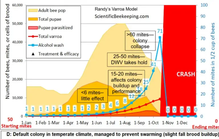 Randy Oliver Varroa Model