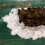 Sabina Herrmann Spechtschaden 18.12.2022 20221220_155615