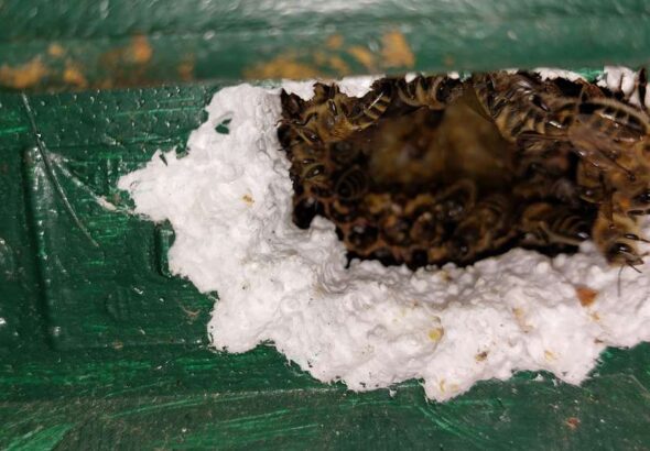 Sabina Herrmann Spechtschaden 18.12.2022 20221220_155615