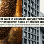 Wald Stadt