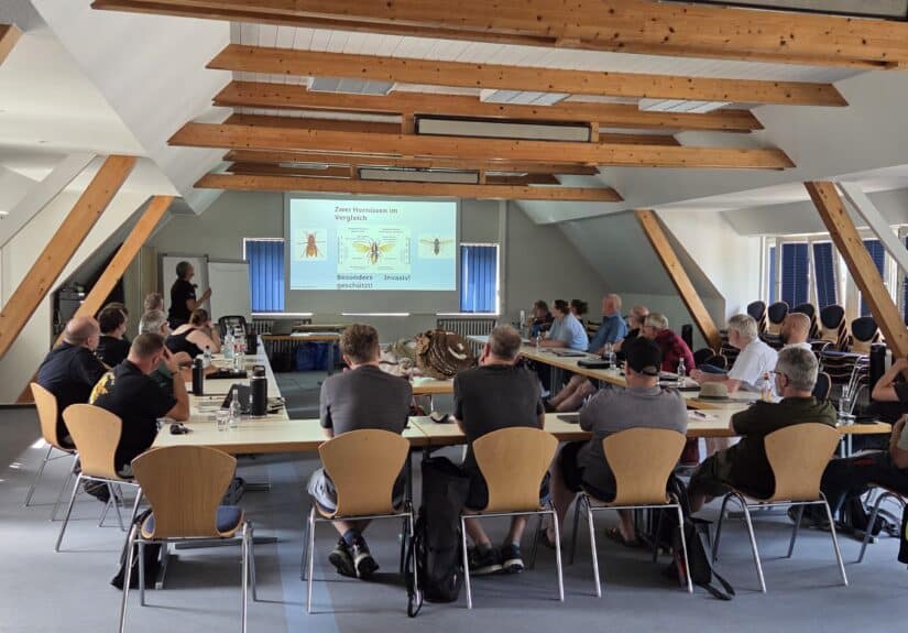 Kursteilnehmer im Seminarraum auf Haus Düsse während einer Beamer-Präsentation zum anatomischen Vergleich zwischen Hornissenarten beim Vespa velutina Nestentfernerkurs.