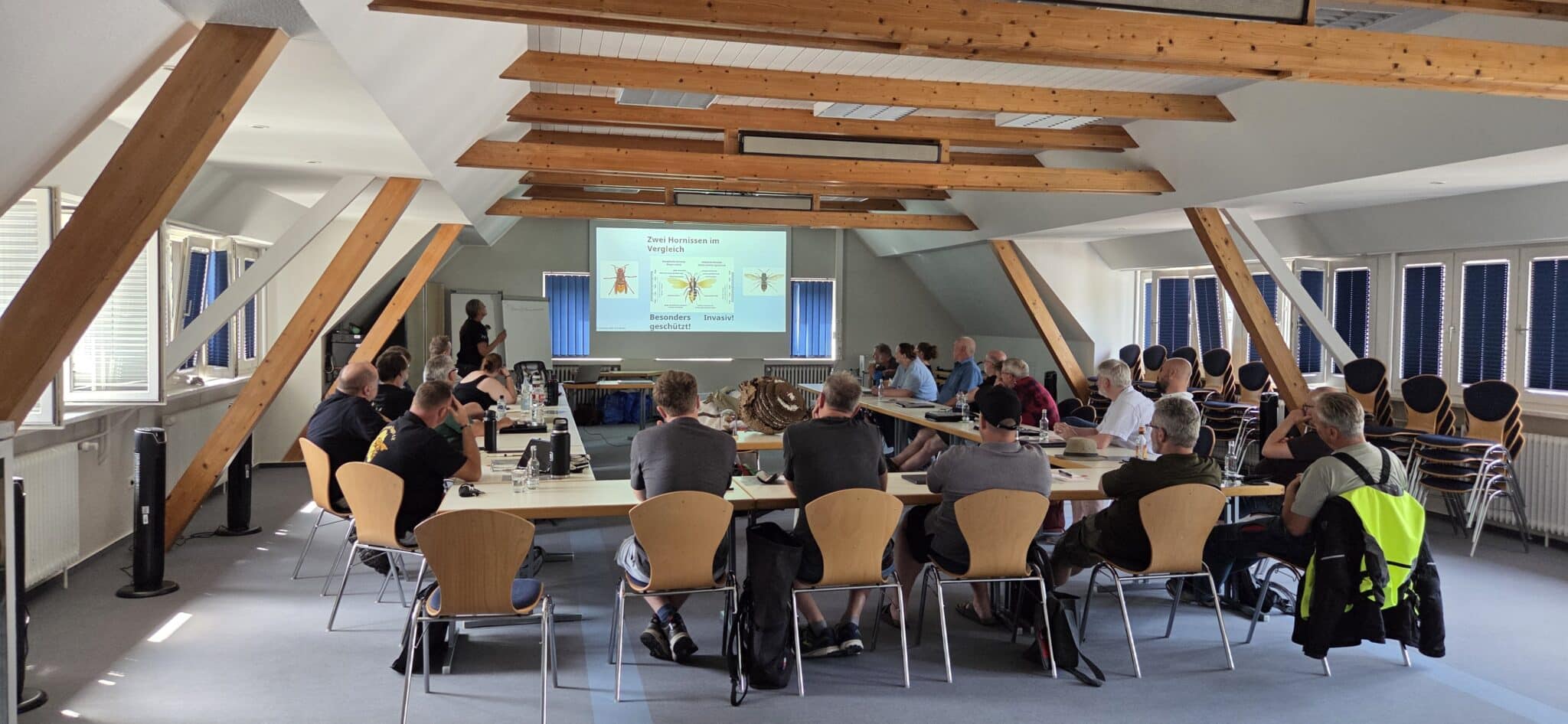 Kursteilnehmer im Seminarraum auf Haus Düsse während einer Beamer-Präsentation zum anatomischen Vergleich zwischen Hornissenarten beim Vespa velutina Nestentfernerkurs.