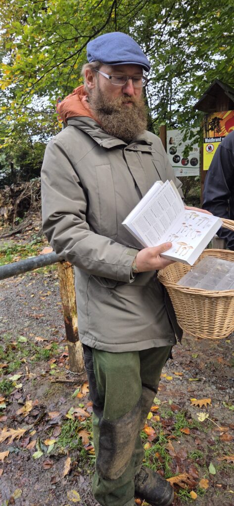 Auf Entdeckungstour im Stuckenberg: Was Pilze und Bienen im Herforder Wald verbindet 15 20261025 100727