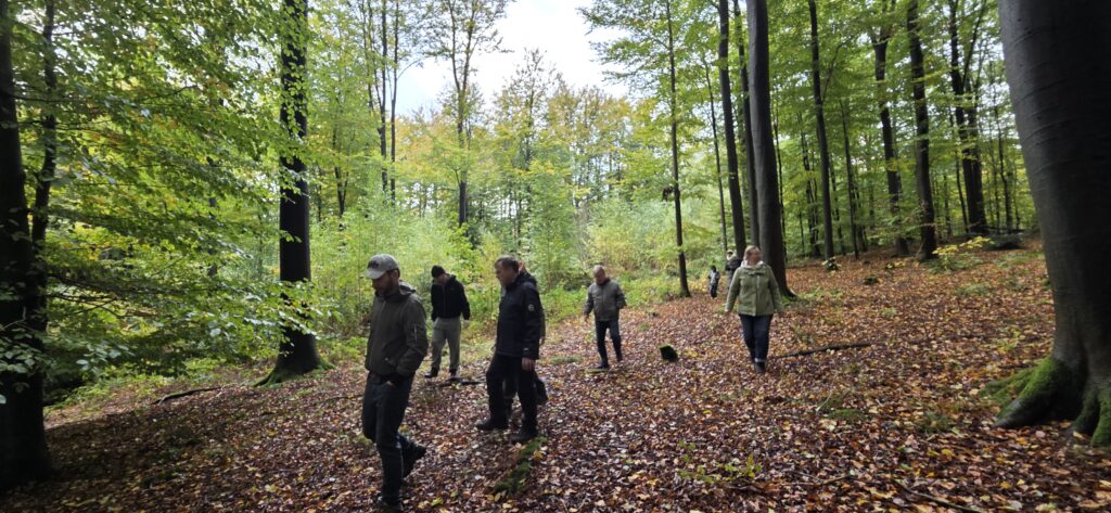 Auf Entdeckungstour im Stuckenberg: Was Pilze und Bienen im Herforder Wald verbindet 23 20261025 110007
