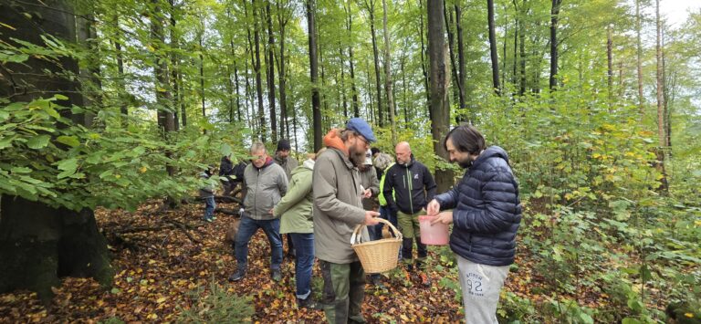 Auf Entdeckungstour im Stuckenberg: Was Pilze und Bienen im Herforder Wald verbindet 17 20261025_110415