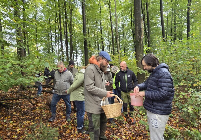 Auf Entdeckungstour im Stuckenberg: Was Pilze und Bienen im Herforder Wald verbindet 1 20261025_110415