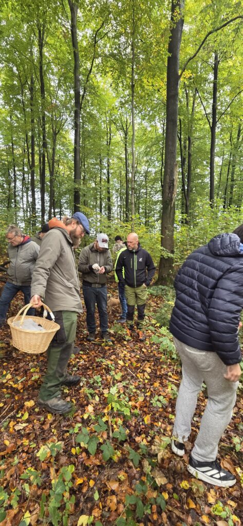 Auf Entdeckungstour im Stuckenberg: Was Pilze und Bienen im Herforder Wald verbindet 21 20261025 110419