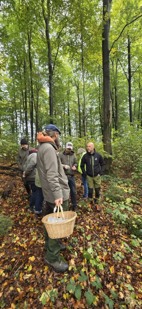 Auf Entdeckungstour im Stuckenberg: Was Pilze und Bienen im Herforder Wald verbindet 18 20261025 110424