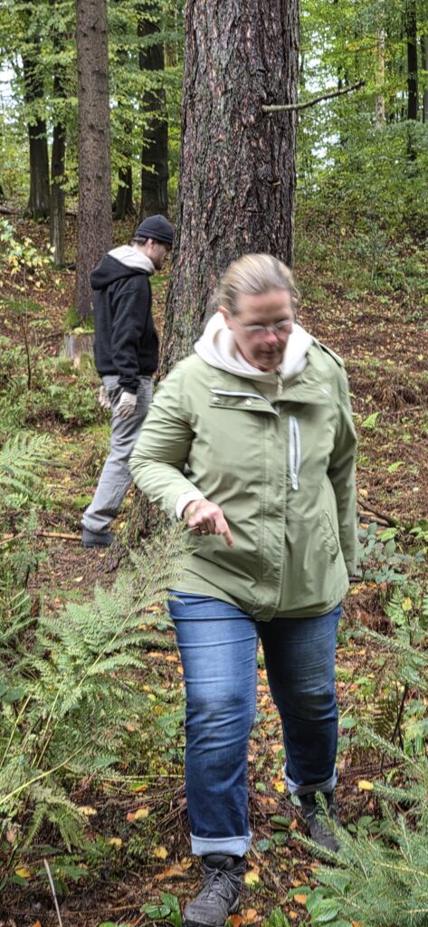 Auf Entdeckungstour im Stuckenberg: Was Pilze und Bienen im Herforder Wald verbindet 26 Aufmerksame Pilzsuche im herbstlichen Wald