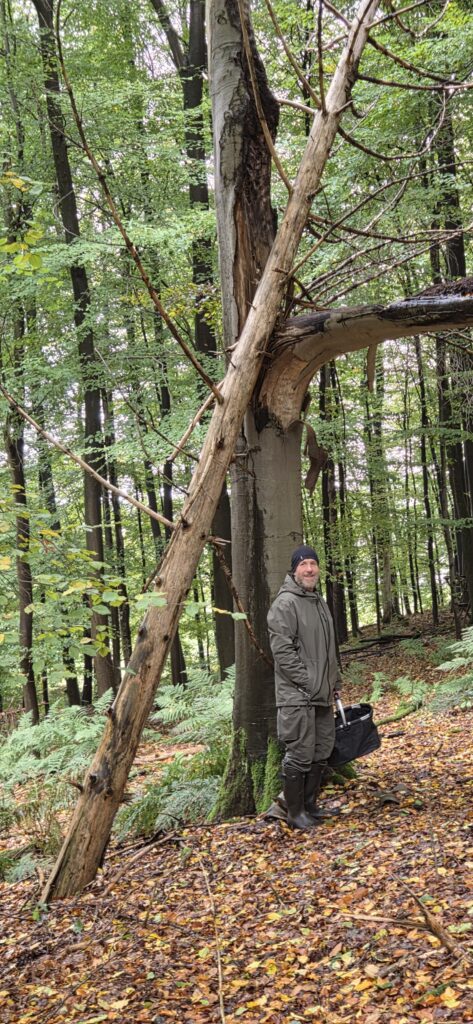 Auf Entdeckungstour im Stuckenberg: Was Pilze und Bienen im Herforder Wald verbindet 19 20261025 111036