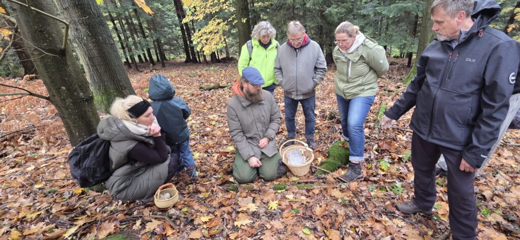 Auf Entdeckungstour im Stuckenberg: Was Pilze und Bienen im Herforder Wald verbindet 24 20261025 113813