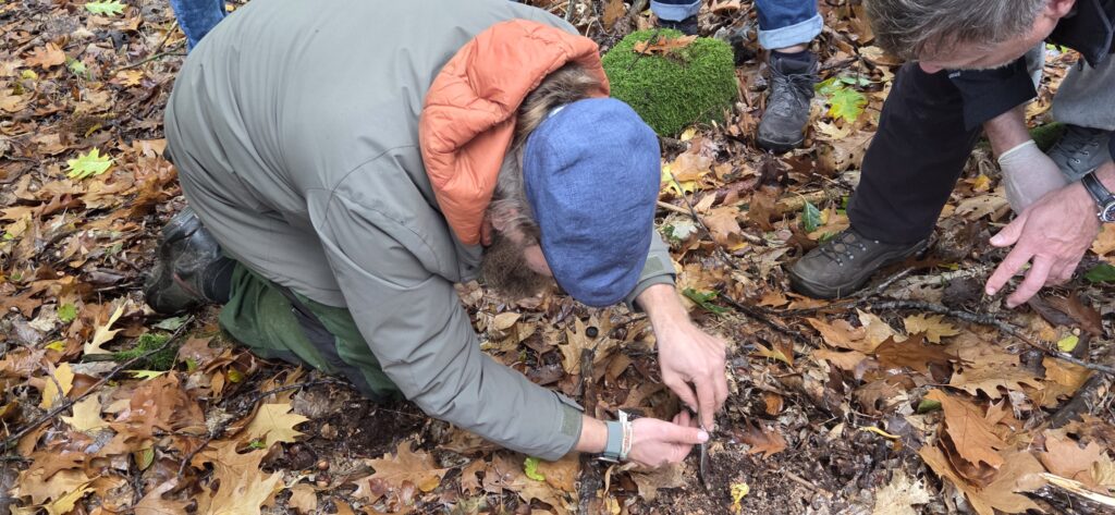 Auf Entdeckungstour im Stuckenberg: Was Pilze und Bienen im Herforder Wald verbindet 27 Mann untersucht den Boden im Wald.