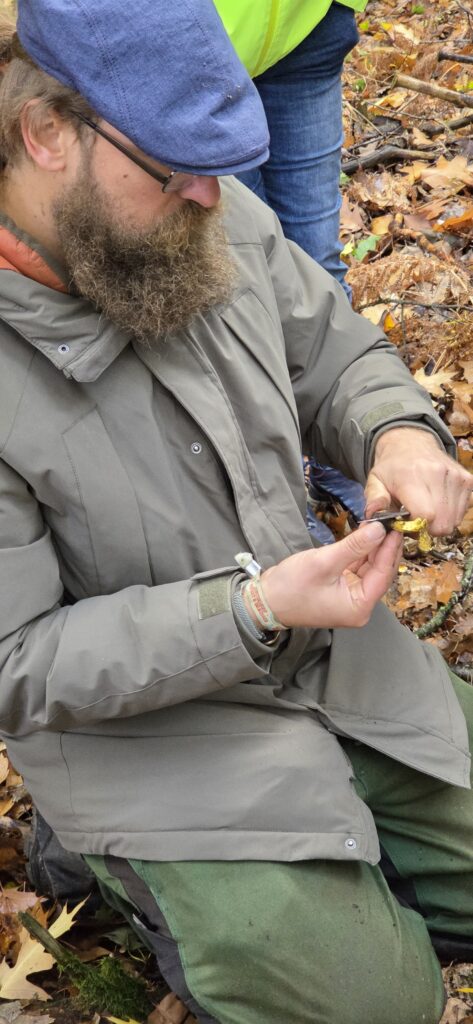 Auf Entdeckungstour im Stuckenberg: Was Pilze und Bienen im Herforder Wald verbindet 25 20261025 114333
