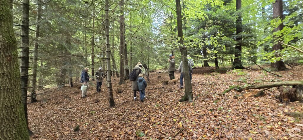Auf Entdeckungstour im Stuckenberg: Was Pilze und Bienen im Herforder Wald verbindet 14 20261025 115620
